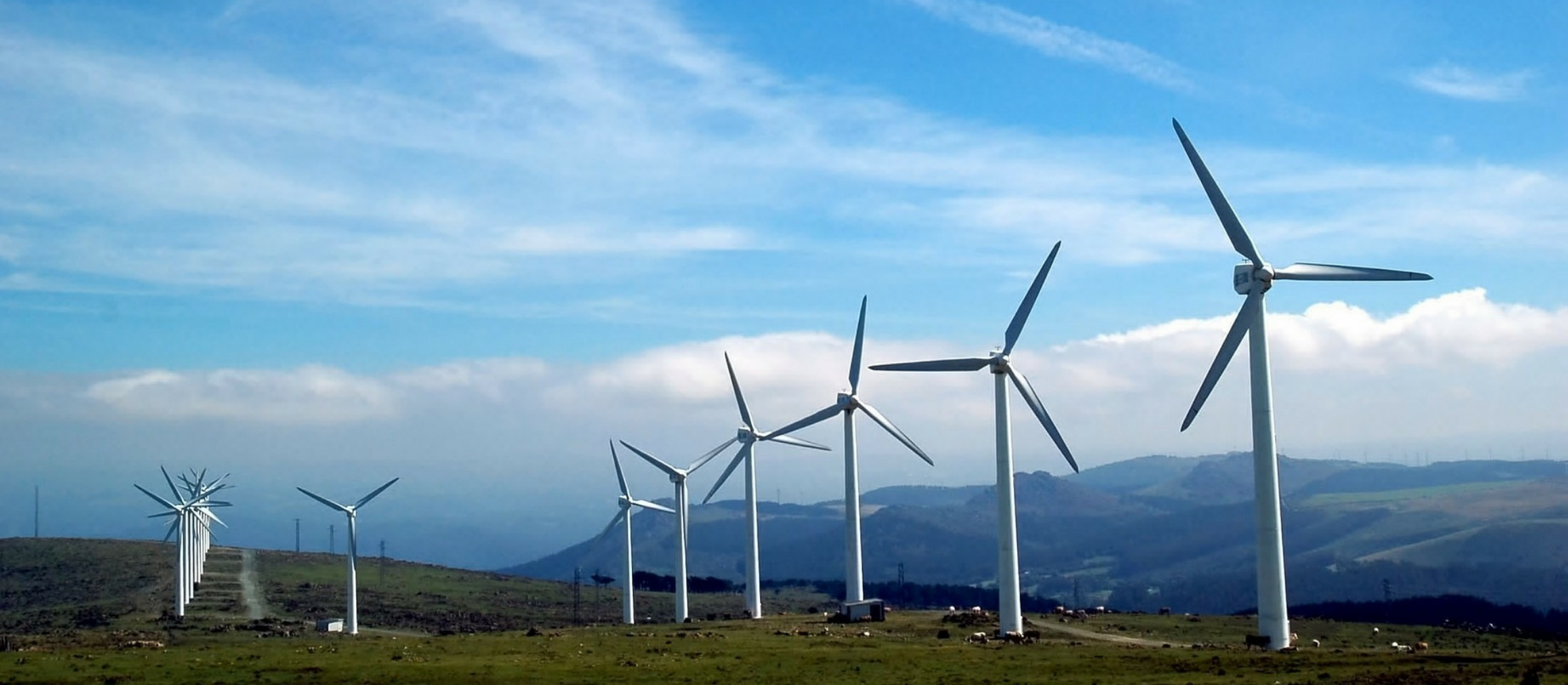 Bird's eye view of wind farm