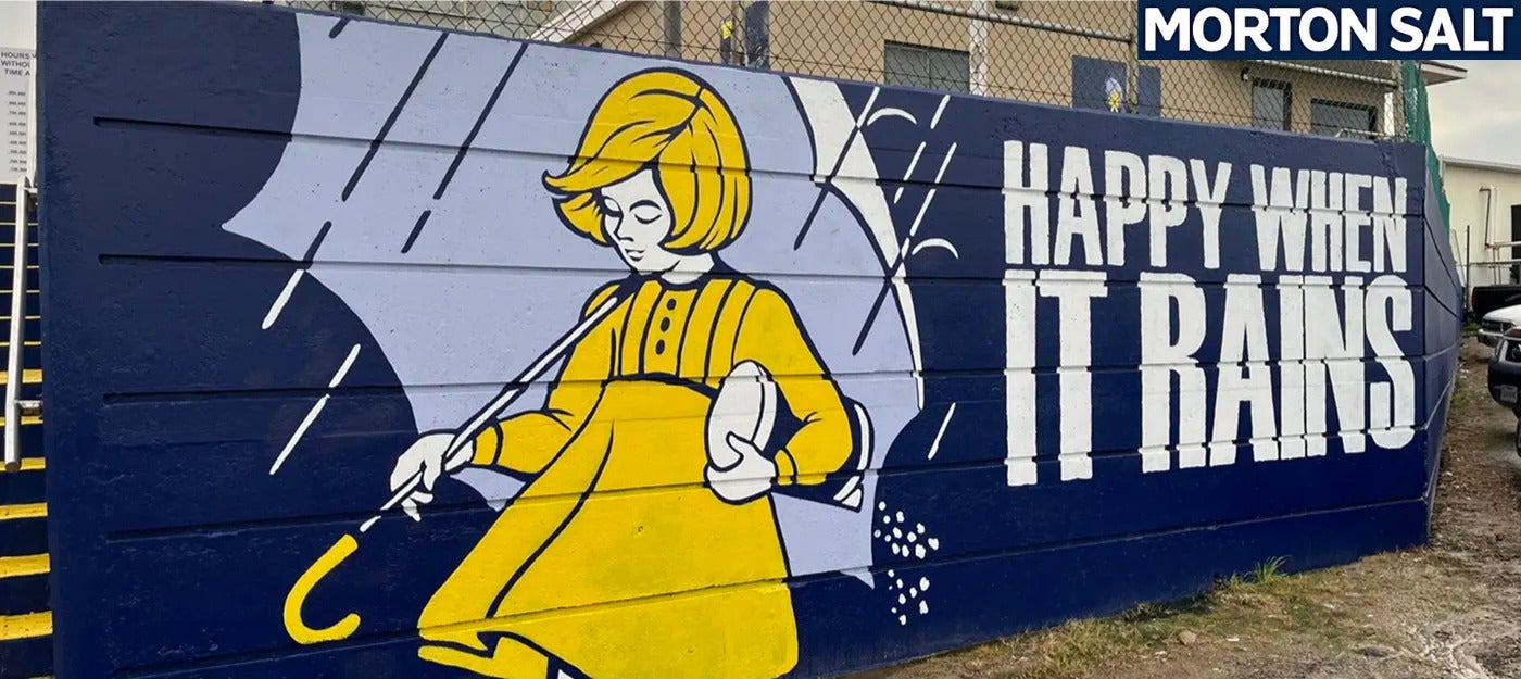 Morton Salt - Carroll Technologies Group case study